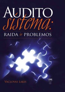 Audito sistema. Raida ir problemos