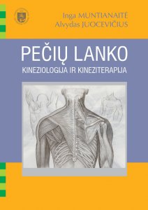 Pečių lanko kineziologija ir kineziterapija