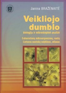 Veikliojo dumblo biologija ir mikroskopinė analizė